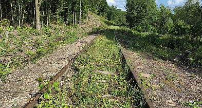 Koniec niepewności. Ponownie wybrano wykonawcę linii kolejowej do Lęborka-70911