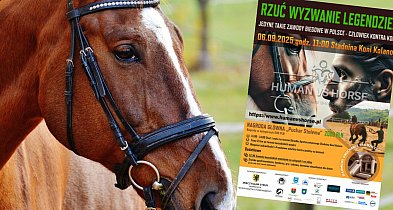 Pierwszy w Polsce bieg Human vs Horse. Już niebawem w Kolanie-71025