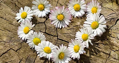 Podziękowania dla osób, które wsparły zbiórkę dla małego Jasia z Chmielna-74006