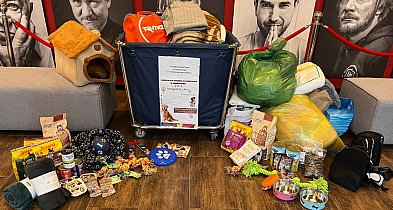 Kartuskie Centrum Kultury organizuje zbiórkę dla schroniska w Kościerzynie-74132