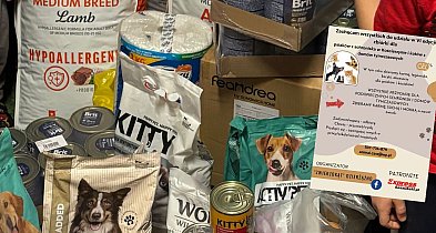 Przodkowo. Kolejna zbiórka dla potrzebujących psów i kotów zakończona sukcesem-74760