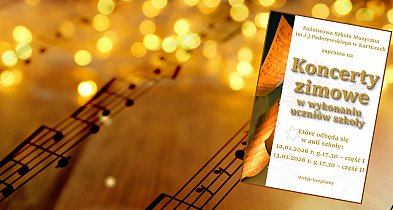 Szkoła Muzyczna zaprasza na koncerty zimowe w wykonaniu uczniów-75952