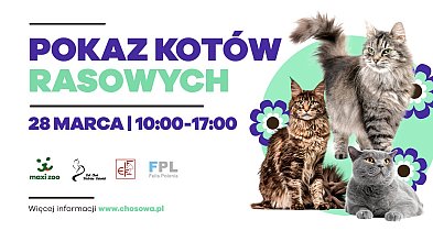 Mrucząca sobota w CH Osowa - pokaz kotów rasowych i targi dla pupili