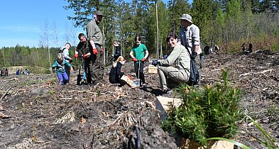 Posadź las wspólnie z kartuskimi leśnikami. Trwają zapisy