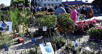 Sierakowice. Gratka dla miłośników ogrodnictwa - Święto Kwiatów i Krzewów