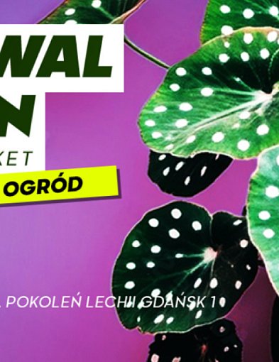 Festiwal Roślin w Gdańsku – największa zielona akcja powraca-73475