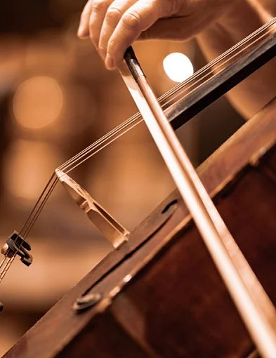 Tryptyk Kaszubski na kanwie powieści Aleksandra Majkowskiego-73715