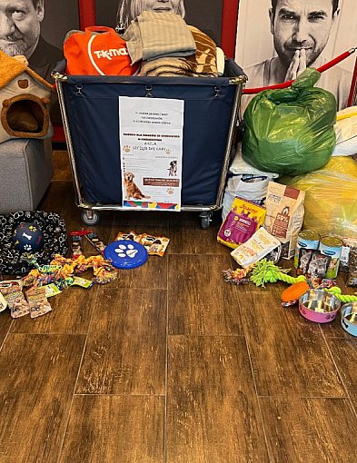 Kartuskie Centrum Kultury organizuje zbiórkę dla schroniska w Kościerzynie-74132