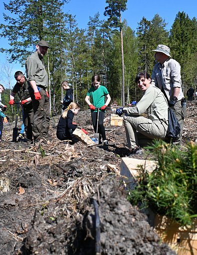Posadź las wspólnie z kartuskimi leśnikami. Trwają zapisy