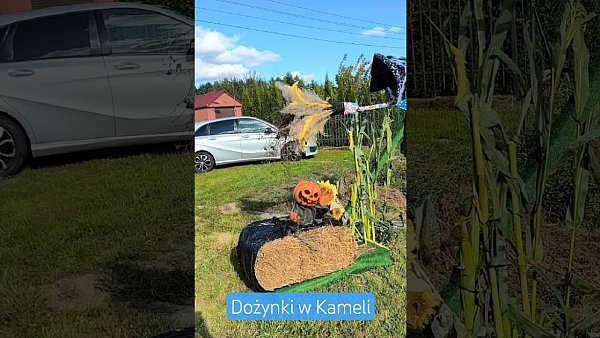 Kamela gościła dziś rolników z gminy Somonino
