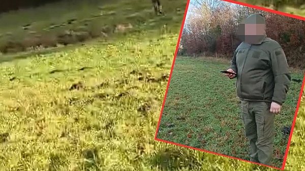 Agresywny myśliwy przyjechał szacować szkody łowieckie