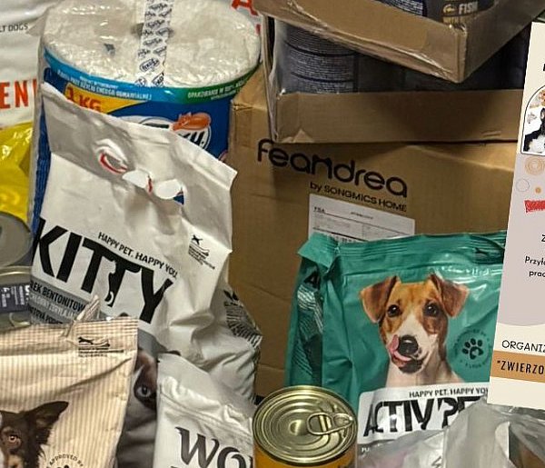 Przodkowo. Kolejna zbiórka dla potrzebujących psów i kotów zakończona sukcesem-74760