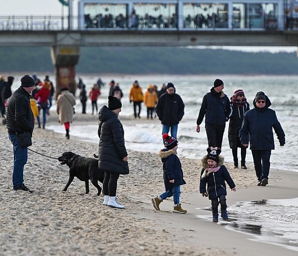 Gminy masowo rezygnują z opłaty za psa. Jaka będzie przyszłość tej daniny?-75233