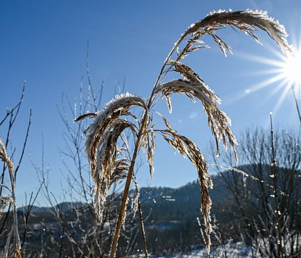 W niedzielę zaczyna się astronomiczna zima-75484