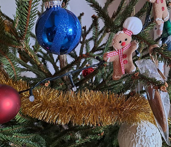 Skąd się wzięła choinka w świątecznej tradycji?-75631