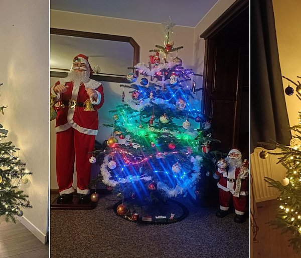 Rośnie nasza wspólna galeria choinek. Są piękne!-75607