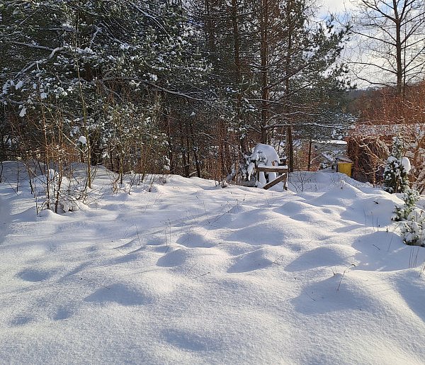 Narzekamy na zimę, ale śnieg to jeden z najlepszych "magazynów wody"-76303