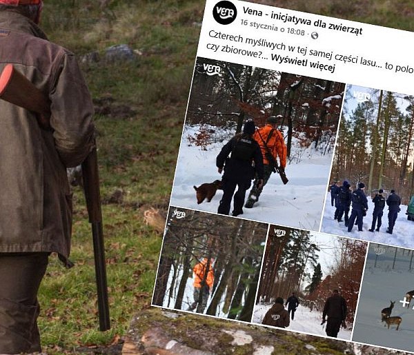 Interwencja policji podczas polowania w rejonie Leźna-76432