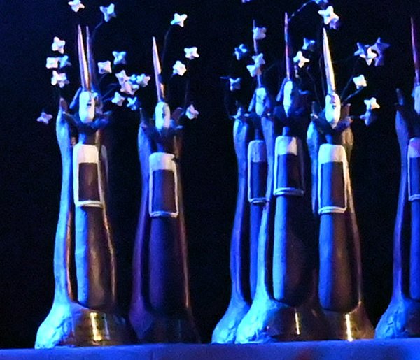 Kto powinien otrzymać nagrodę burmistrza Kartuz? Ruszyły zgłoszenia-76546