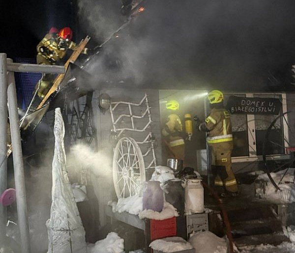 Borowiec. Pożar domku letniskowego. Na szczęście szybko opanowany-76573