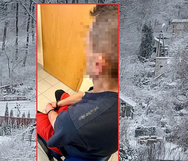 Kartuzy. Plaga włamań na ogródkach działkowych. 41-latek kradł co popadnie