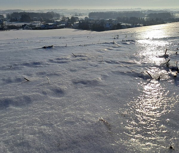 Czeka nas mróz: nawet minus 25 stopni. Ale są i dobre wieści