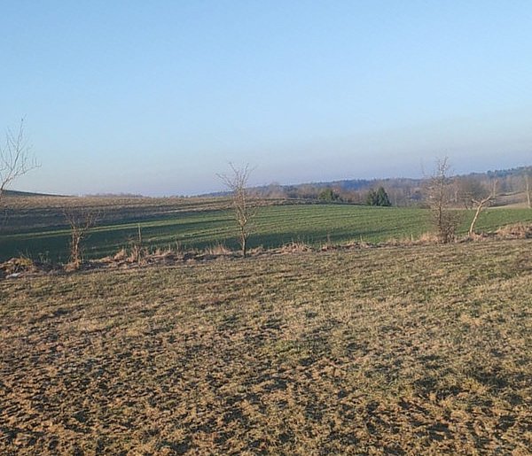 Będą ułatwienia dla obrotu nieruchomościami rolnymi na rynku prywatnym?