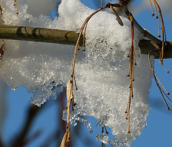 Prognozy wskazują, że czeka nas typowo wiosenna aura
