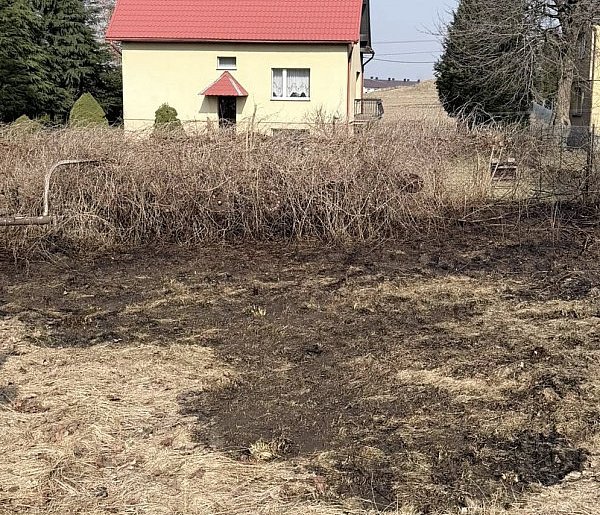 Pałubice. Pożar łąki. Policja przypomina: wypalanie traw jest nielegalne