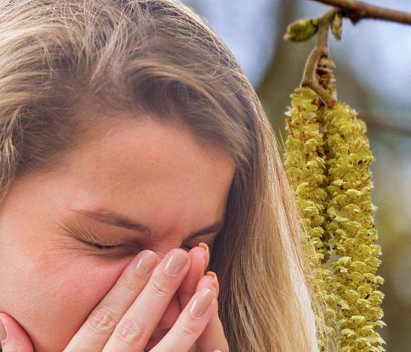 Rozpoczyna się trudny czas dla alergików