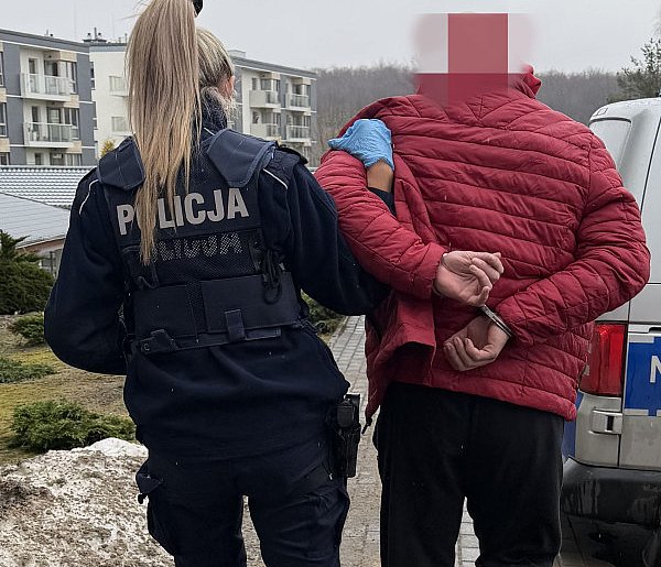 Banino. Sprawca przemocy domowej trafił w ręce policji