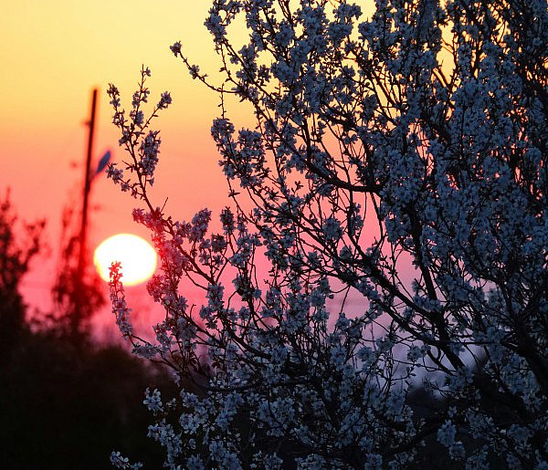 20 marca witamy astronomiczną wiosnę. Niezwykłe zjawiska czekają na niebie!