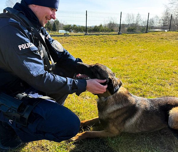 Kartuzy. Bruno i Orzech pilnują bezpieczeństwa. Dołącz do ich zespołu