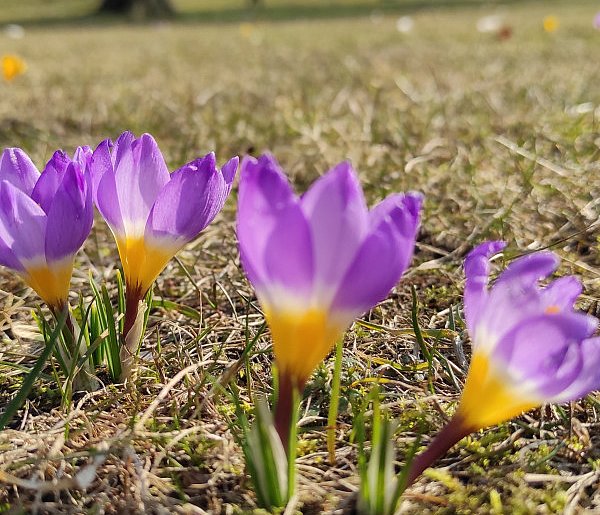 Zapowiada się słoneczna pogoda na święta