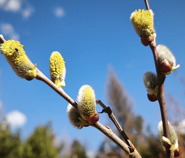 Kwiecień - plecień... czyli prognoza pogody na Wielkanocny weekend