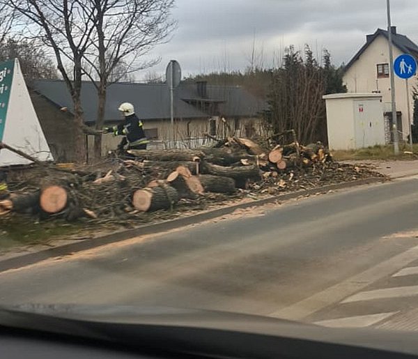 Region. Połamane drzewa i konary. Strażacy interweniują