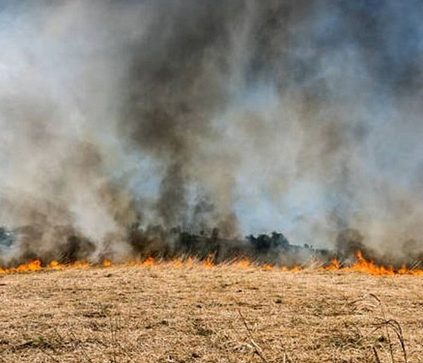Mimo zaostrzenia kar wciąż dochodzi do wielu pożarów traw