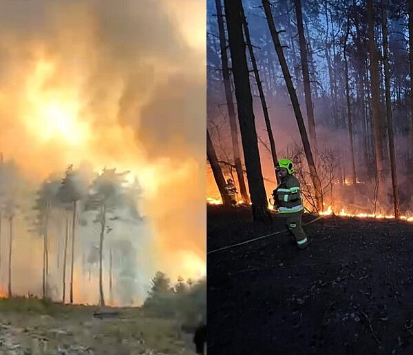 W lasach jest skrajnie sucho. Po dramatycznym pożarze apel o ostrożność