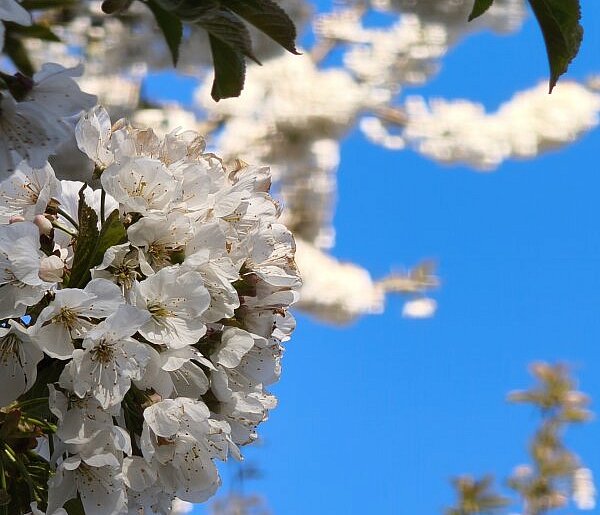 Dobre prognozy na majówkę. Ma być naprawdę ciepło!