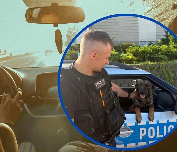 Przed nami upalne dni. Nie zostawiaj w samochodzie dzieci i zwierząt!