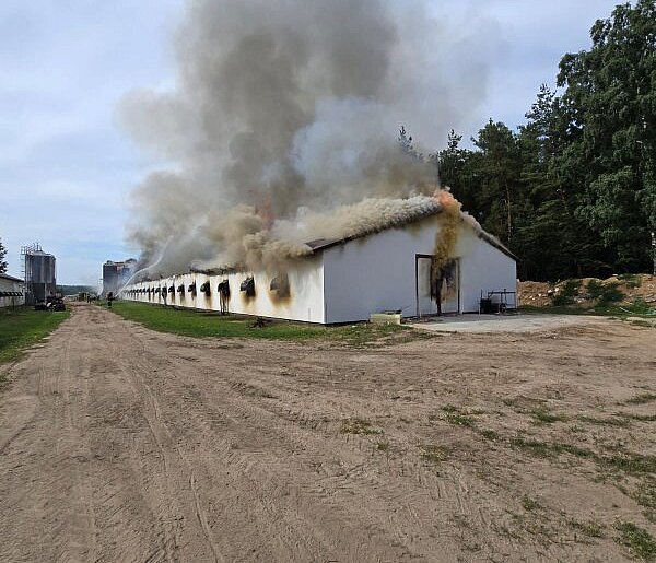 Kobysewo. Pożar kurnika i budynku mieszkalnego. Trwa akcja gaśnicza