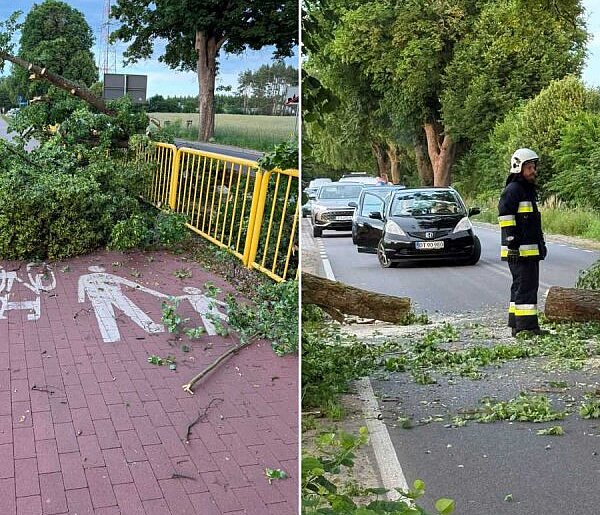 Gowidlino. Potężny konar runął na ścieżkę rowerową