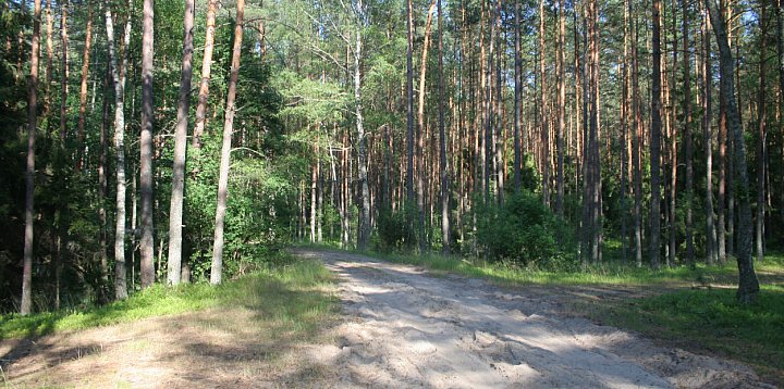 W Lesie Piaśnickim odkryto 200 metalowych przedmiotów-73839