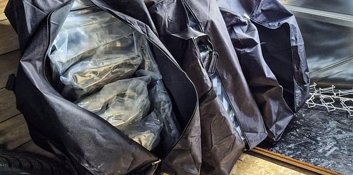 Duża akcja policji w Chojnicach. Zabezpieczono substanc