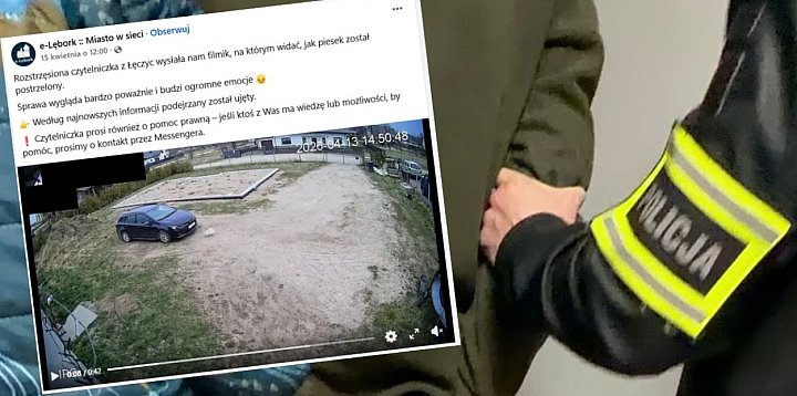 Z wiatrówki zastrzelił psa sąsiadki!