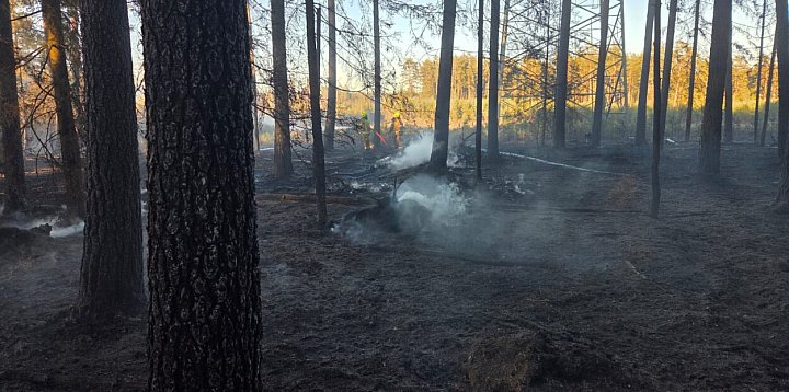 Strażacy dogaszają pożar 7 hektarów lasu w Sylcznie