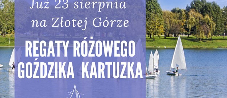 V REGATY RÓŻOWEGO GOŹDZIKA KARTUZKA