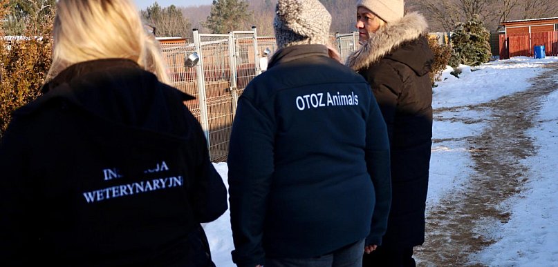 W województwie pomorskim ruszyły kontrole schronisk dla zwierząt