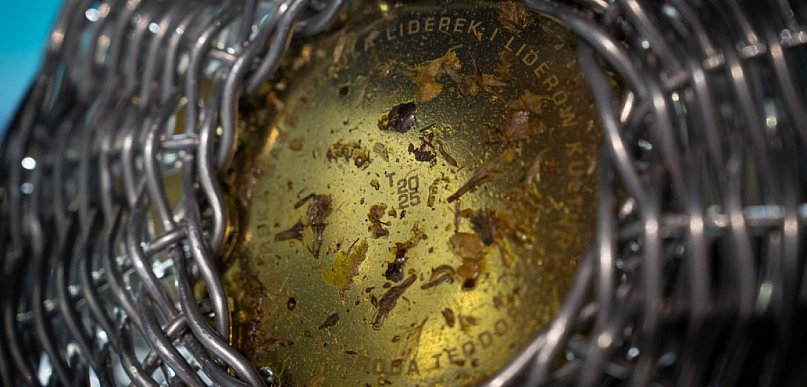 Ruszył nabór do Nagrody Teodory – 20 tys. zł dla liderów pomorskiej kultury