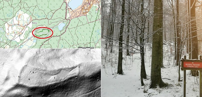 Tajemnice Zamkowej Góry. Pod 250-letnimi drzewami czeka średniowieczny gród?